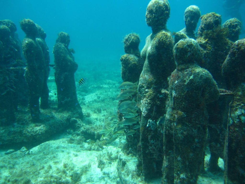 ILovePM-DondeIr-Acuaticas-Aquanauts-Dive-Adventures-3-1024x769