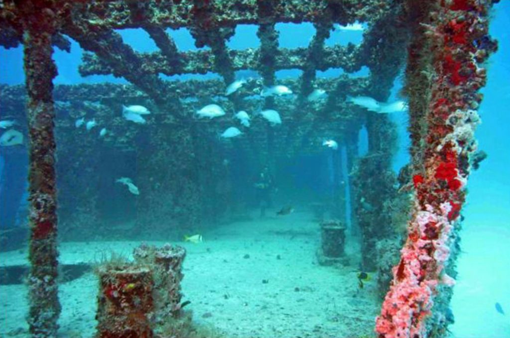 ILovePM-DondeIr-Acuaticas-diveinpuertomorelos-3-1024x679
